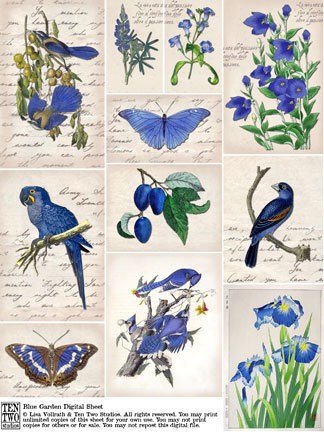 Blue Garden Blue Garden