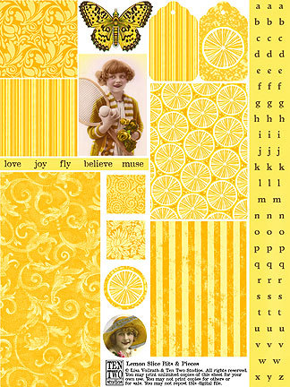 Lemon Slice Bits Lemon Slice Bits