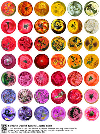 Fantastic Flower Rounds Fantastic Flower Rounds