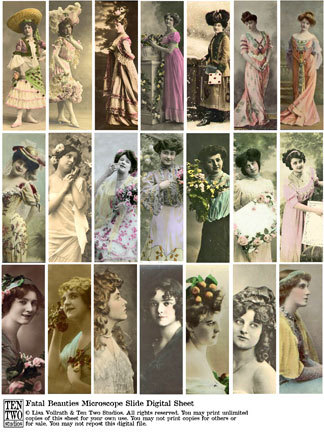 Fatal Beauties Microscope Slides Fatal Beauties Microscope Slides
