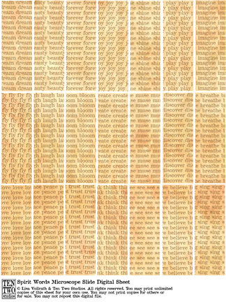 Spirit Words Microscope Slides Spirit Words Microscope Slides