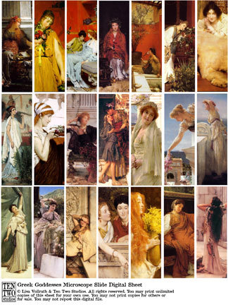 Greek Goddesses Microscope Slides Greek Goddesses Microscope Slides