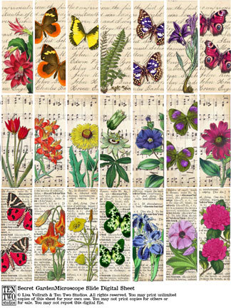 Secret Garden Microscope Slides Secret Garden Microscope Slides