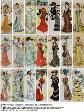 Parisian Beauties Microscope Slides Parisian Beauties Microscope Slides