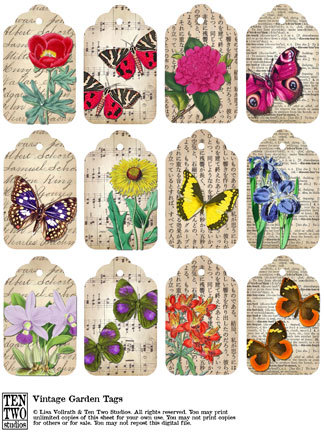 Vintage Garden Vintage Garden