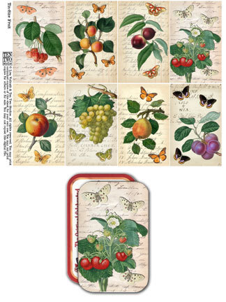 Tin-Sized Fruit Tin-Sized Fruit