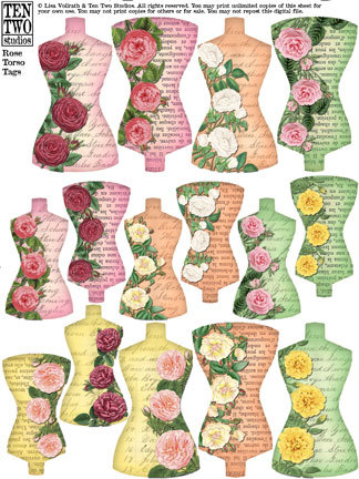 Rose Torso Rose Torso