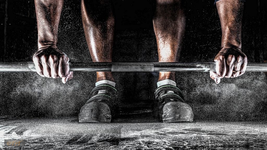 Forfait Céto-Musculo (Programme Sport et performance) 00104