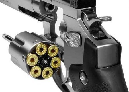 ASG Dan Wesson 2.5 Silver