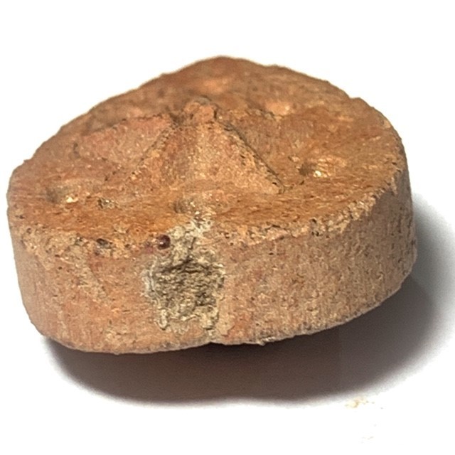Daw Nai Pan Nai Pon Nuea Pong Aathan Early Era Lucky Star Amulet Luang Por Pina Free EMS Worldwide
