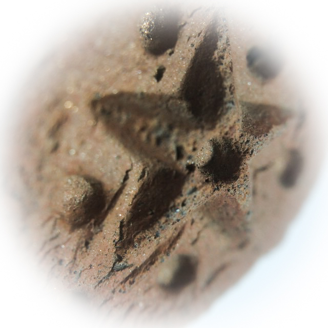 Daw Nai Pan Nai Pon Nuea Pong Aathan Early Era Lucky Star Amulet Luang Por Pina Free EMS Worldwide