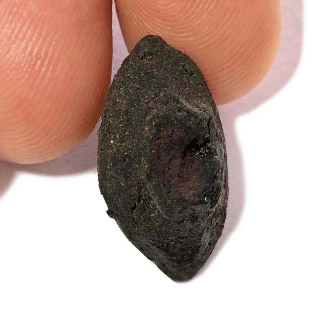 Duang Ta Aathan Pim Lek Nuea Pong Prai Luan Fang Ploi Daeng Early Era Shiva Eye Red Gemstone Luang Por Pina