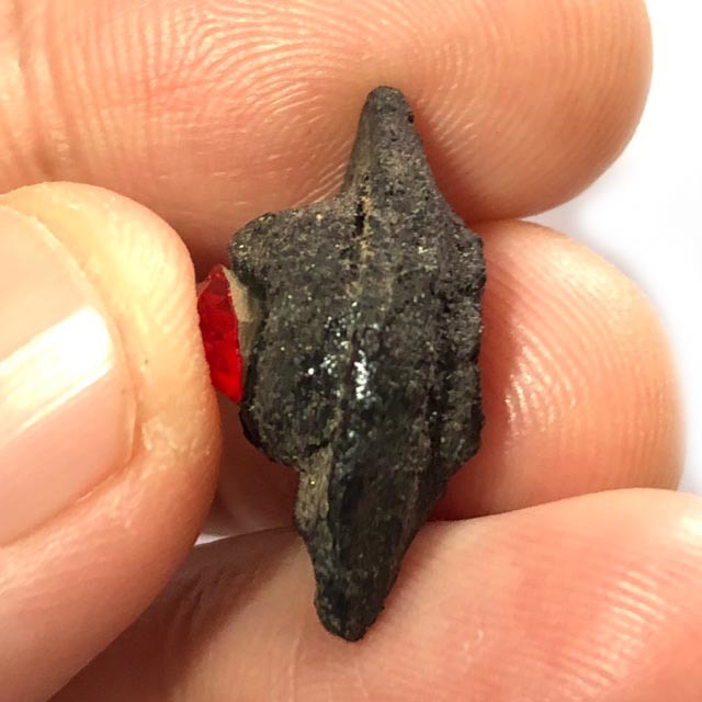 Duang Ta Aathan Pim Lek Nuea Pong Prai Luan Fang Ploi Daeng Early Era Shiva Eye Red Gemstone Luang Por Pina