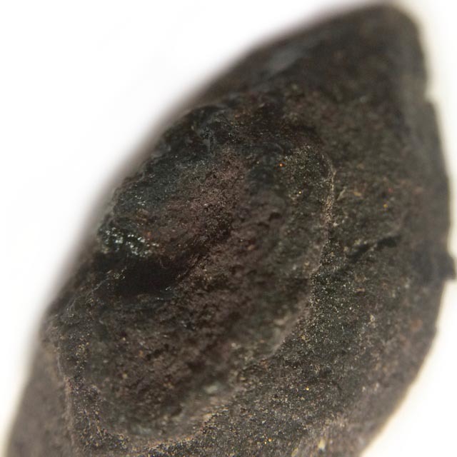 Duang Ta Aathan Pim Lek Nuea Pong Prai Luan Fang Ploi Daeng Early Era Shiva Eye Red Gemstone Luang Por Pina