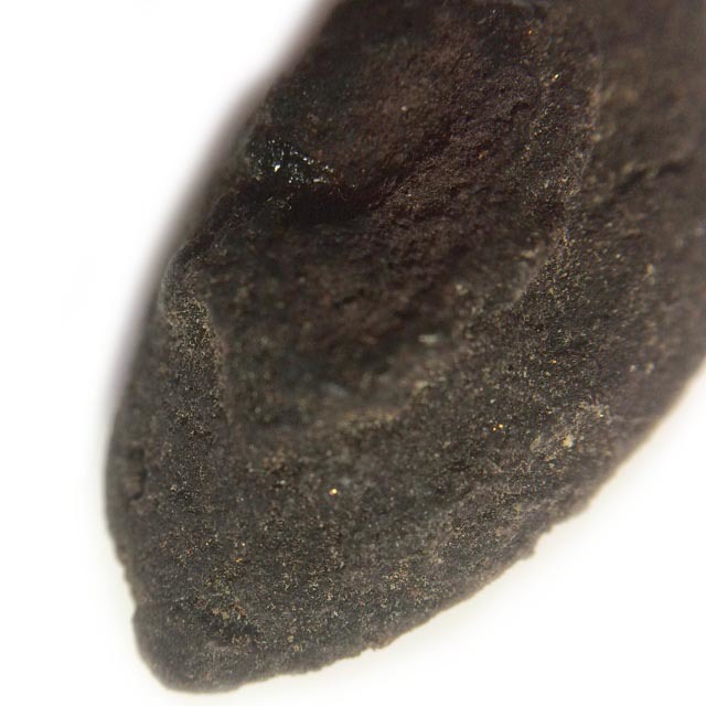 Duang Ta Aathan Pim Lek Nuea Pong Prai Luan Fang Ploi Daeng Early Era Shiva Eye Red Gemstone Luang Por Pina