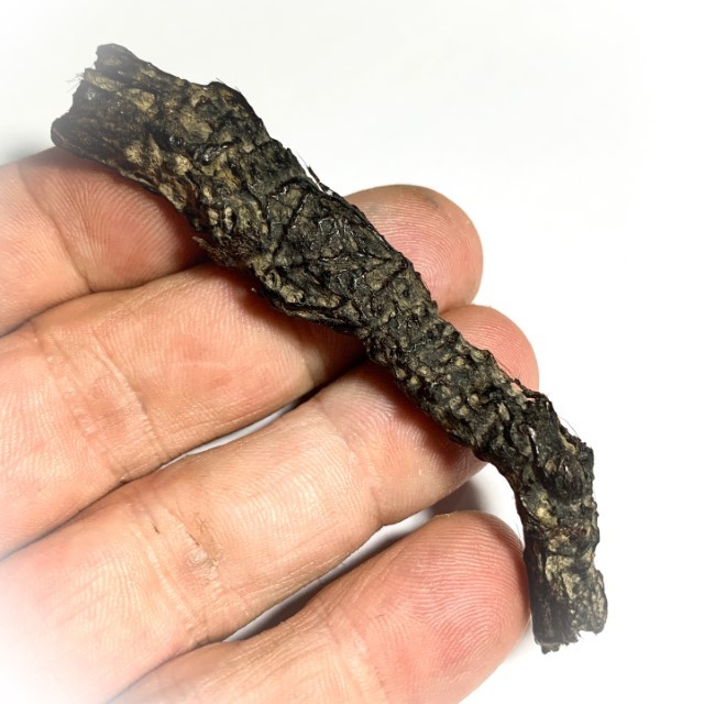 Takrut Hnaa Phaag Suea Tiger of Maha Amnaj Forehead Hide Amulet 2480 BE Luang Por Jong Wat Na Tang Nork 03747