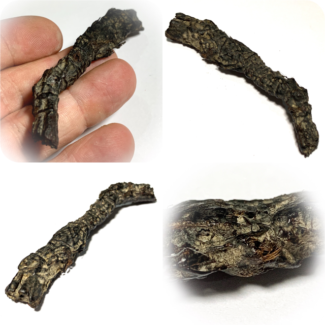 Takrut Hnaa Phaag Suea Tiger of Maha Amnaj Forehead Hide Amulet 2480 BE Luang Por Jong Wat Na Tang Nork