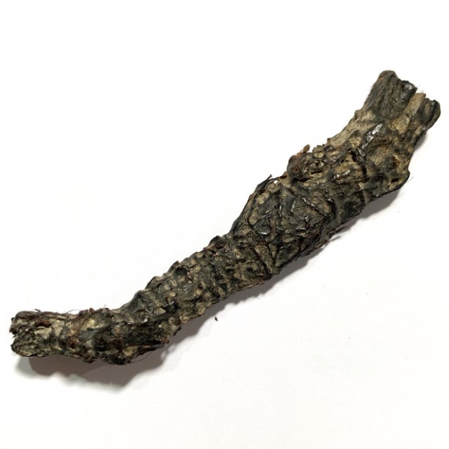 Takrut Hnaa Phaag Suea Tiger of Maha Amnaj Forehead Hide Amulet 2480 BE Luang Por Jong Wat Na Tang Nork