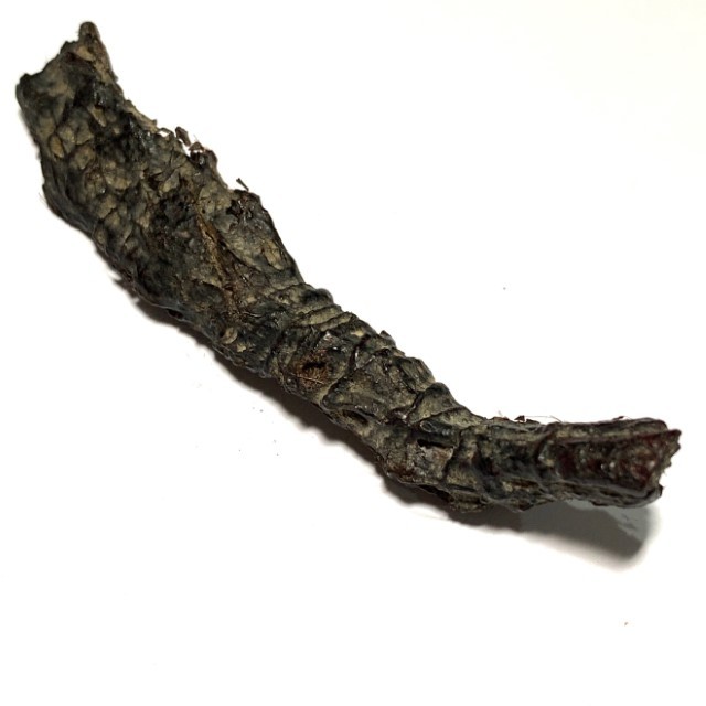 Takrut Hnaa Phaag Suea Tiger of Maha Amnaj Forehead Hide Amulet 2480 BE Luang Por Jong Wat Na Tang Nork