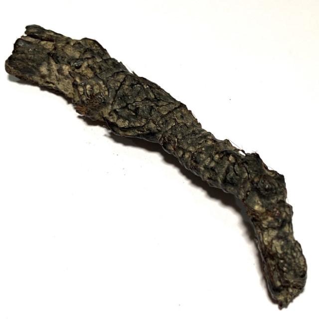 Takrut Hnaa Phaag Suea Tiger of Maha Amnaj Forehead Hide Amulet 2480 BE Luang Por Jong Wat Na Tang Nork