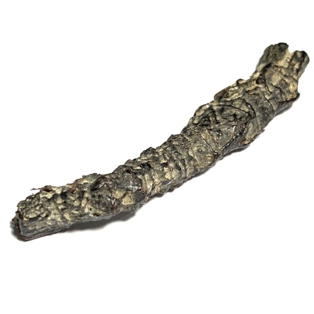 Takrut Hnaa Phaag Suea Tiger of Maha Amnaj Forehead Hide Amulet 2480 BE Luang Por Jong Wat Na Tang Nork