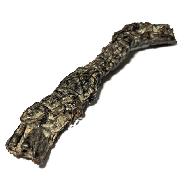 Takrut Hnaa Phaag Suea Tiger of Maha Amnaj Forehead Hide Amulet 2480 BE Luang Por Jong Wat Na Tang Nork