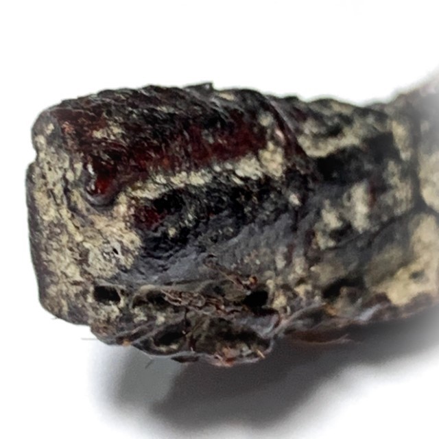 Takrut Hnaa Phaag Suea Tiger of Maha Amnaj Forehead Hide Amulet 2480 BE Luang Por Jong Wat Na Tang Nork
