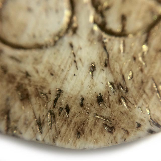 Ban Hneng Graduk Chang Pra Rahu Early Era Elephant Forehead Bone Carving 7x7 Cm Hand Inscriptions Luang Por Pina Free EMS