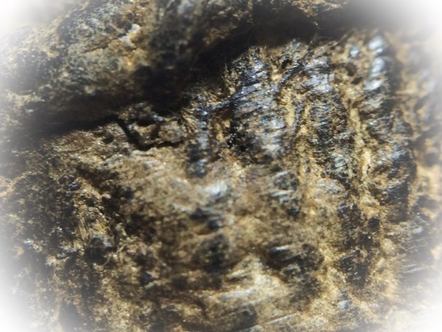 Hwaen Pirod Ancient Warrior Ring of Invincibility Circa 2460 BE Luang Por Muang Wat Ban Tuan