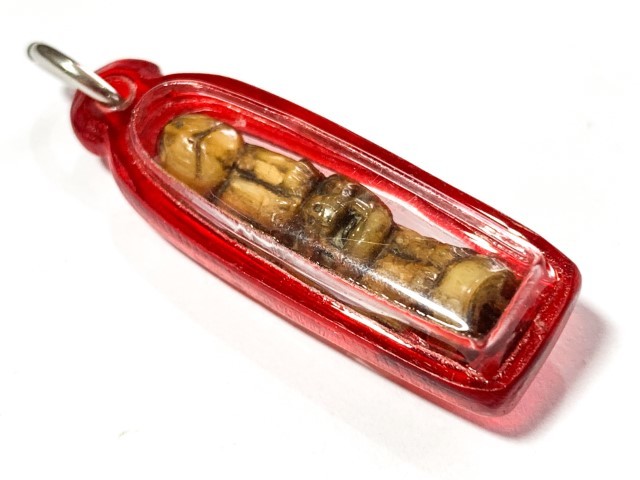 Khiaw Sue Gae Twin Tiger Amulet 2 Pim Carved Tooth 4 Cm Luang Por Parn Wat Bang Hia