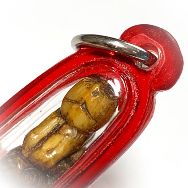 Khiaw Sue Gae Twin Tiger Amulet 2 Pim Carved Tooth 4 Cm Luang Por Parn Wat Bang Hia