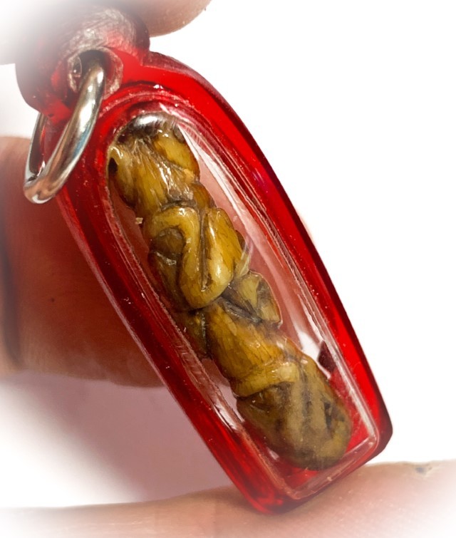 Khiaw Sue Gae Twin Tiger Amulet 2 Pim Carved Tooth 4 Cm Luang Por Parn Wat Bang Hia