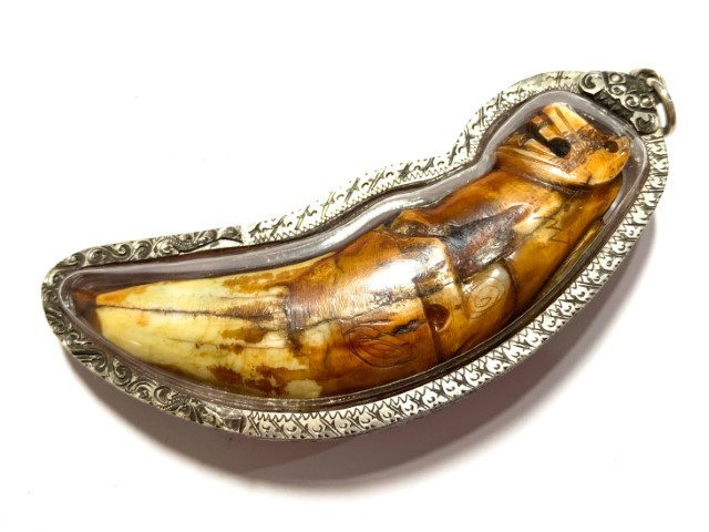 Khiaw Suea Kroeng Gae Tiger Tooth Amulet 4 Inches Hand Spell Inscriptions Silver Custom Casing Luang Por Parn Wat Bang Hia Free EMS