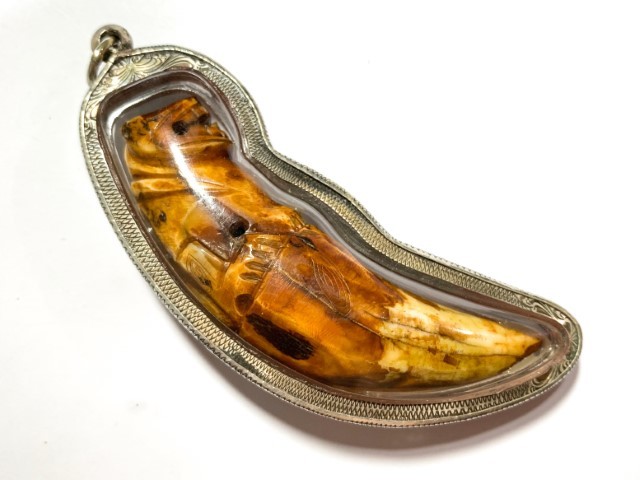 Khiaw Suea Kroeng Gae Tiger Tooth Amulet 4 Inches Hand Spell Inscriptions Silver Custom Casing Luang Por Parn Wat Bang Hia Free EMS