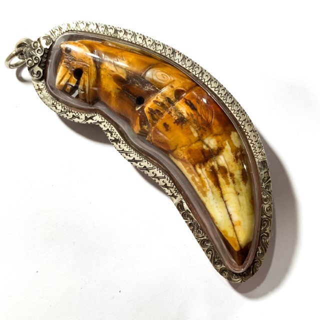 Khiaw Suea Kroeng Gae Tiger Tooth Amulet 4 Inches Hand Spell Inscriptions Silver Custom Casing Luang Por Parn Wat Bang Hia Free EMS