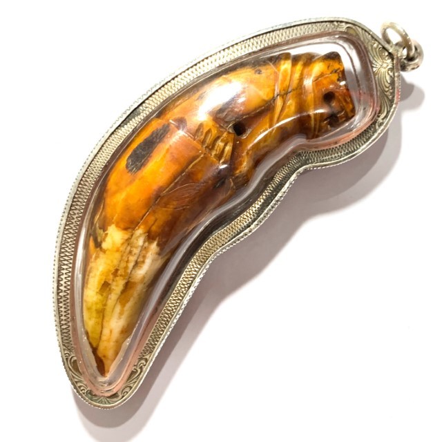 Khiaw Suea Kroeng Gae Tiger Tooth Amulet 4 Inches Hand Spell Inscriptions Silver Custom Casing Luang Por Parn Wat Bang Hia Free EMS