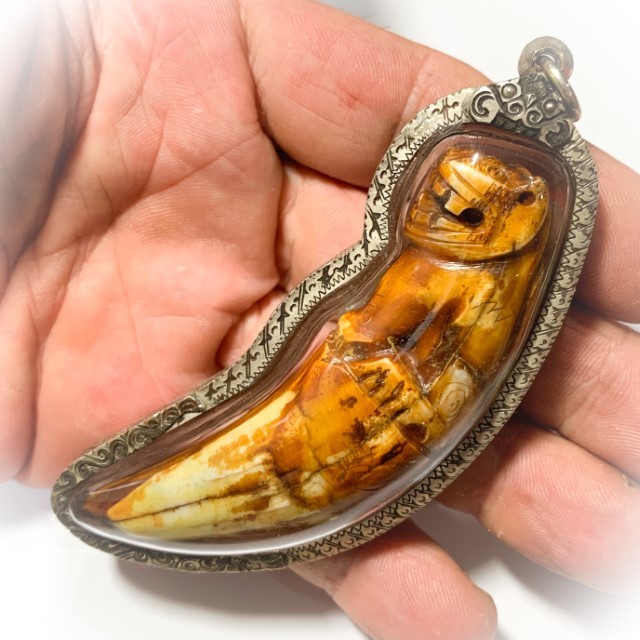 Khiaw Suea Kroeng Gae Tiger Tooth Amulet 4 Inches Hand Spell Inscriptions Silver Custom Casing Luang Por Parn Wat Bang Hia Free EMS