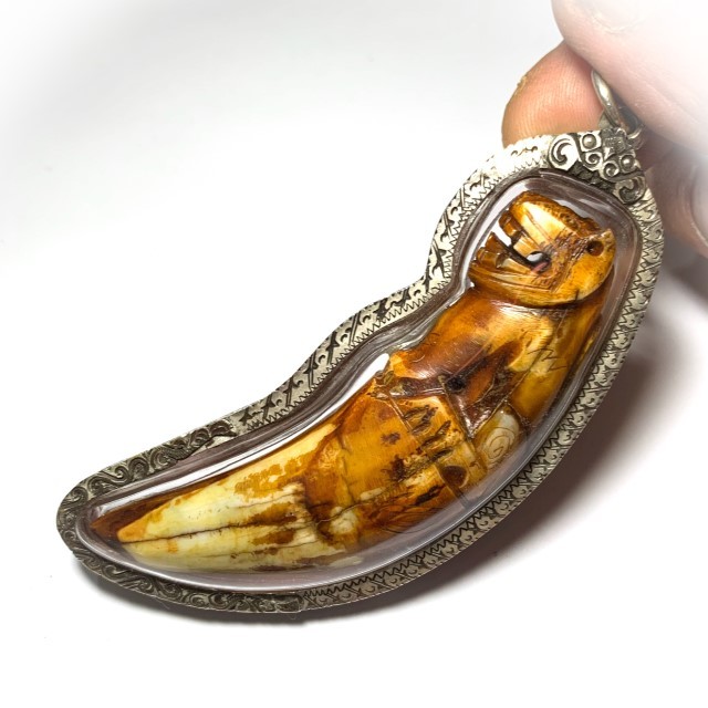 Khiaw Suea Kroeng Gae Tiger Tooth Amulet 4 Inches Hand Spell Inscriptions Silver Custom Casing Luang Por Parn Wat Bang Hia Free EMS