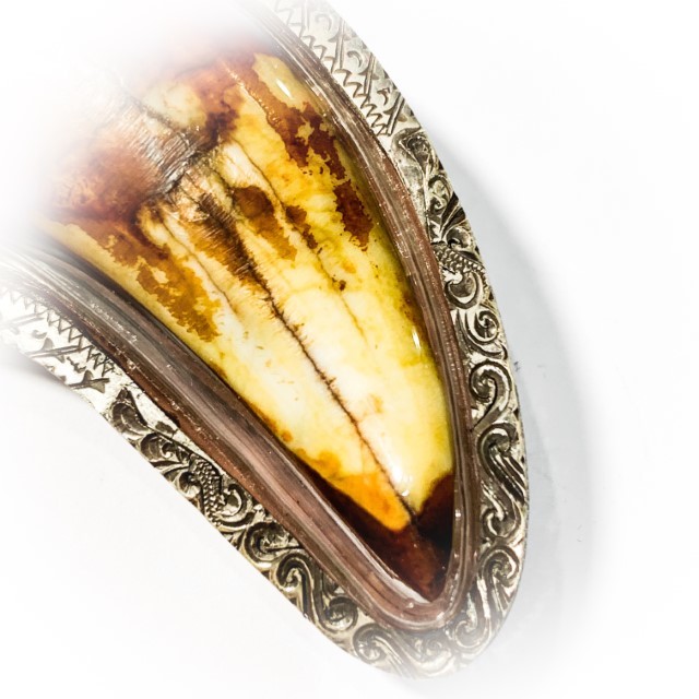 Khiaw Suea Kroeng Gae Tiger Tooth Amulet 4 Inches Hand Spell Inscriptions Silver Custom Casing Luang Por Parn Wat Bang Hia Free EMS