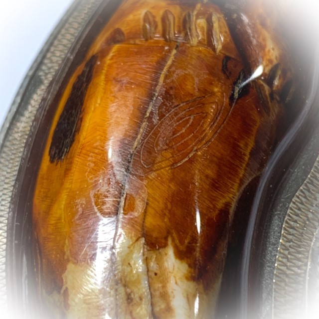 Khiaw Suea Kroeng Gae Tiger Tooth Amulet 4 Inches Hand Spell Inscriptions Silver Custom Casing Luang Por Parn Wat Bang Hia Free EMS