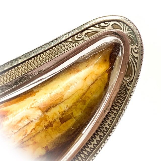 Khiaw Suea Kroeng Gae Tiger Tooth Amulet 4 Inches Hand Spell Inscriptions Silver Custom Casing Luang Por Parn Wat Bang Hia Free EMS