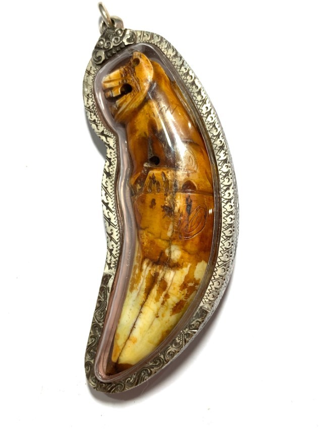 Khiaw Suea Kroeng Gae Tiger Tooth Amulet 4 Inches Hand Spell Inscriptions Silver Custom Casing Luang Por Parn Wat Bang Hia Free EMS