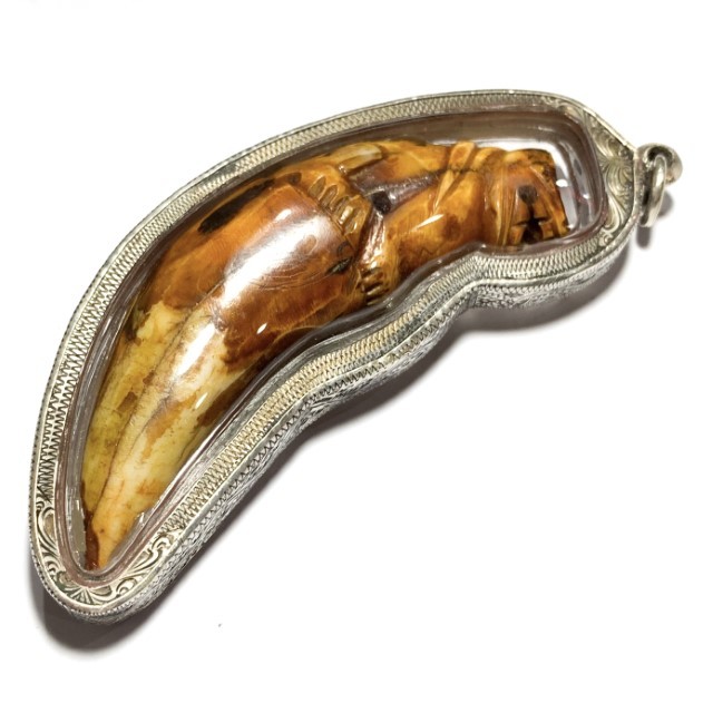 Khiaw Suea Kroeng Gae Tiger Tooth Amulet 4 Inches Hand Spell Inscriptions Silver Custom Casing Luang Por Parn Wat Bang Hia Free EMS