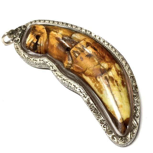 Khiaw Suea Kroeng Gae Tiger Tooth Amulet 4 Inches Hand Spell Inscriptions Silver Custom Casing Luang Por Parn Wat Bang Hia Free EMS