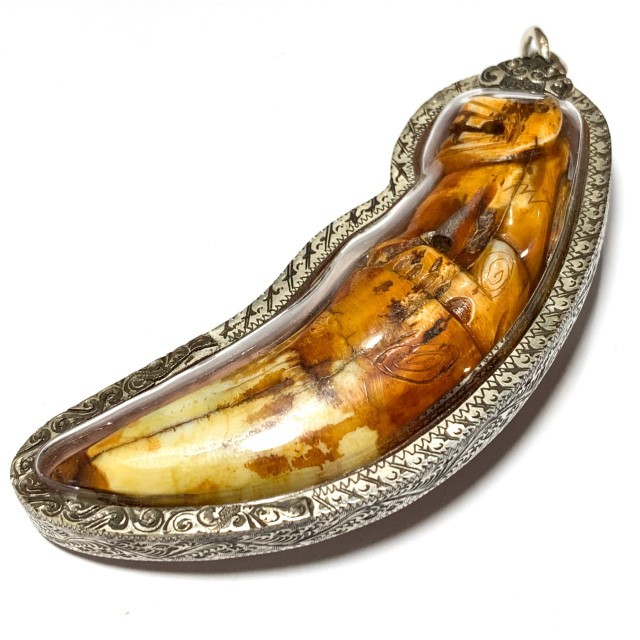 Khiaw Suea Kroeng Gae Tiger Tooth Amulet 4 Inches Hand Spell Inscriptions Silver Custom Casing Luang Por Parn Wat Bang Hia Free EMS
