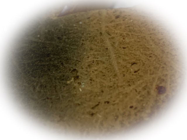 Pra Khun Phaen Kru Ban Krang Pim Plai Koo Twin Buddha Ancient 500 Years Old Sacred Clay Hiding Place Amulet