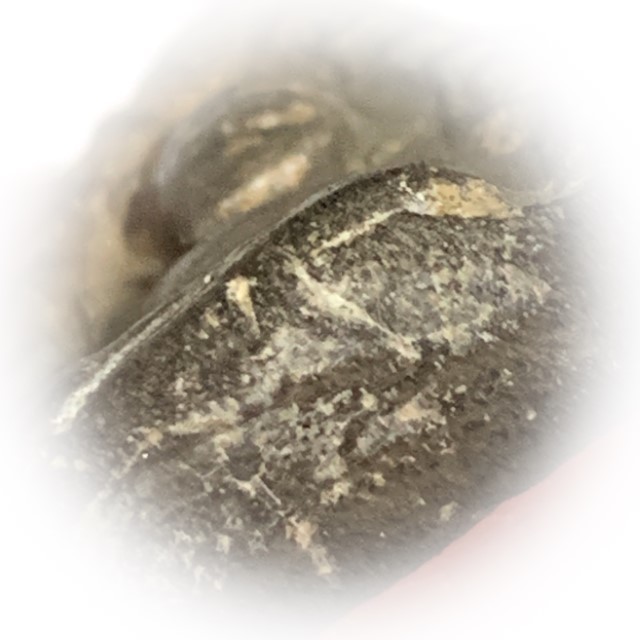 Pra Khun Phaen Kru Ban Krang Pim Plai Koo Twin Buddha Ancient 500 Years Old Sacred Clay Hiding Place Amulet