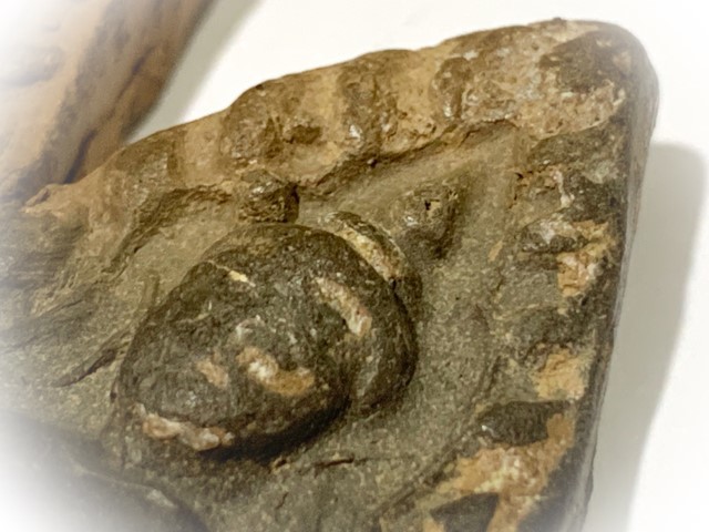 Pra Khun Phaen Kru Ban Krang Pim Plai Koo Twin Buddha Ancient 500 Years Old Sacred Clay Hiding Place Amulet