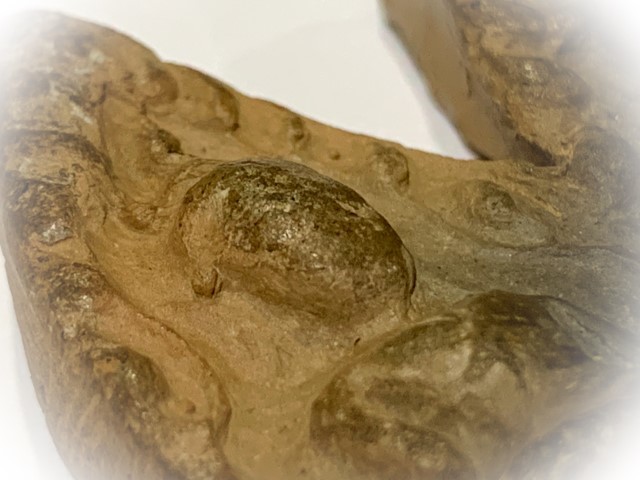 Pra Khun Phaen Kru Ban Krang Pim Plai Koo Twin Buddha Ancient 500 Years Old Sacred Clay Hiding Place Amulet