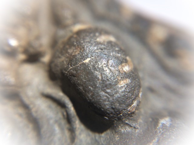 Pra Khun Phaen Kru Ban Krang Pim Plai Koo Twin Buddha Ancient 500 Years Old Sacred Clay Hiding Place Amulet